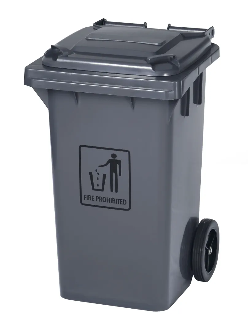 /public/media/BIN100G.webp