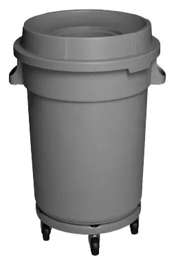 /public/media/BIN32T.webp