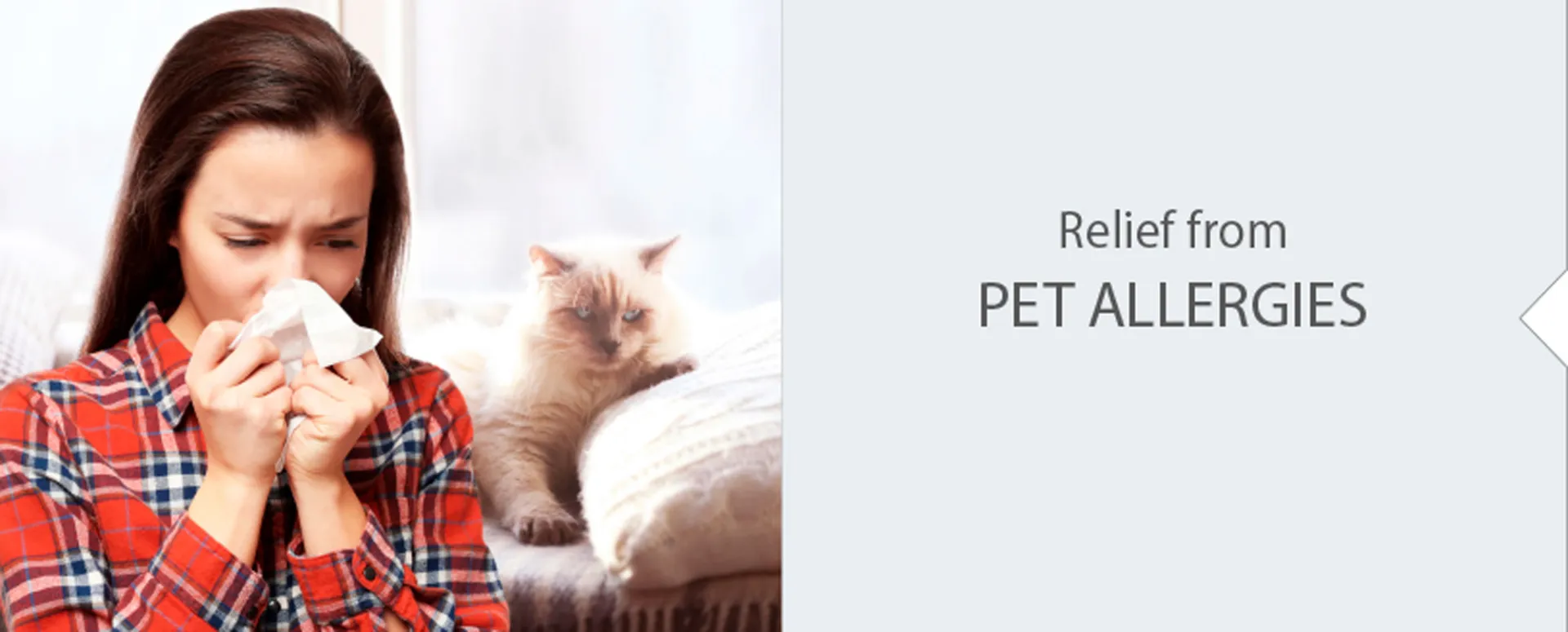 /public/media/Pet-Allergy_p4sxed.webp