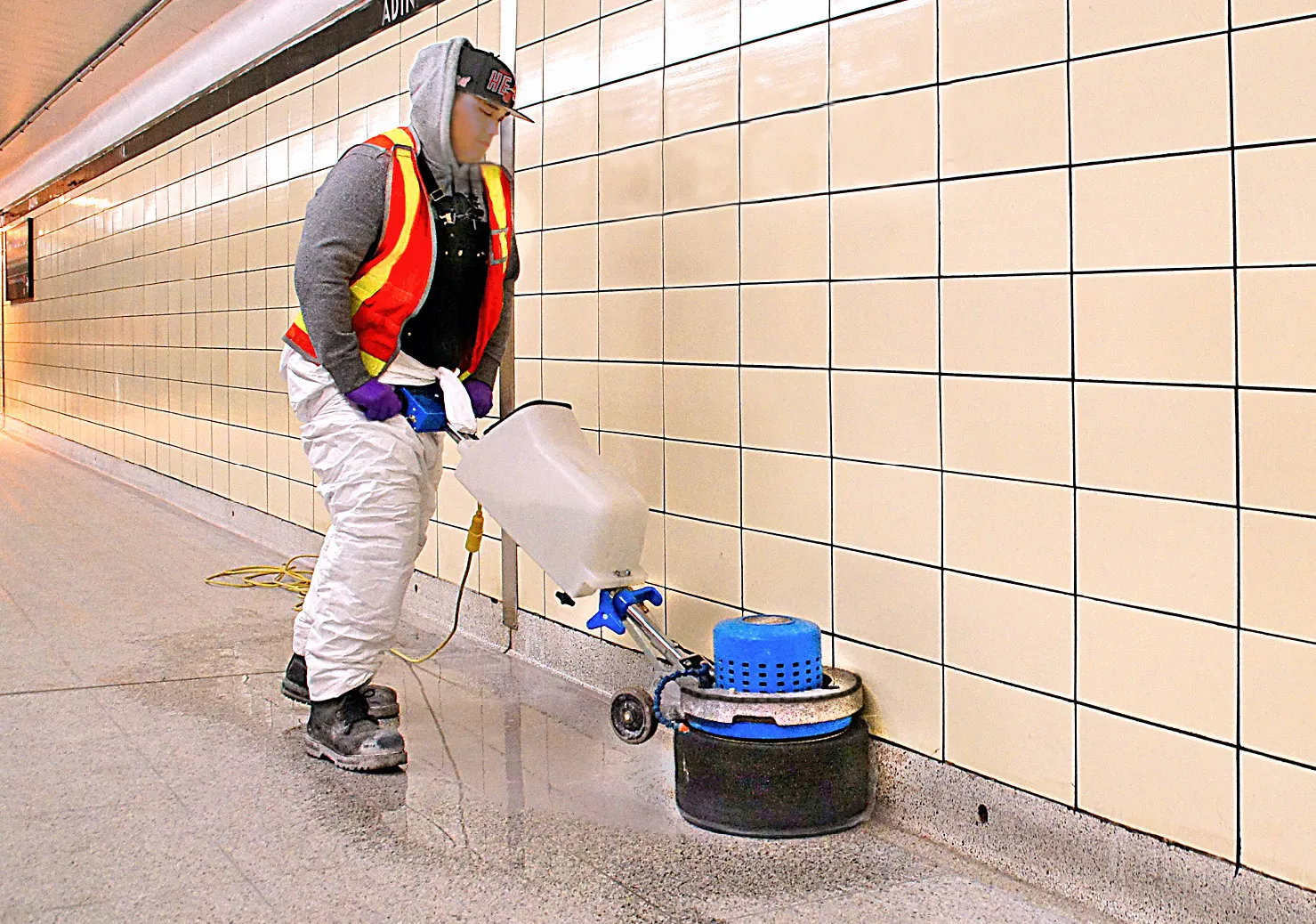 /public/media/Scrub-Jay-4-in-Use.webp