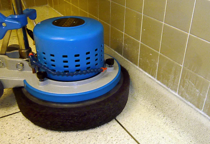 /public/media/Scrub-Jay-4-in-action-Cove-Baseboard.webp