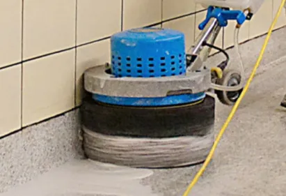 /public/media/Scrub-Jay-4-in-action-w-weight.webp