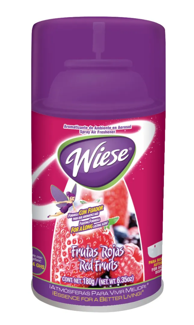 /public/media/WSA11FR.webp